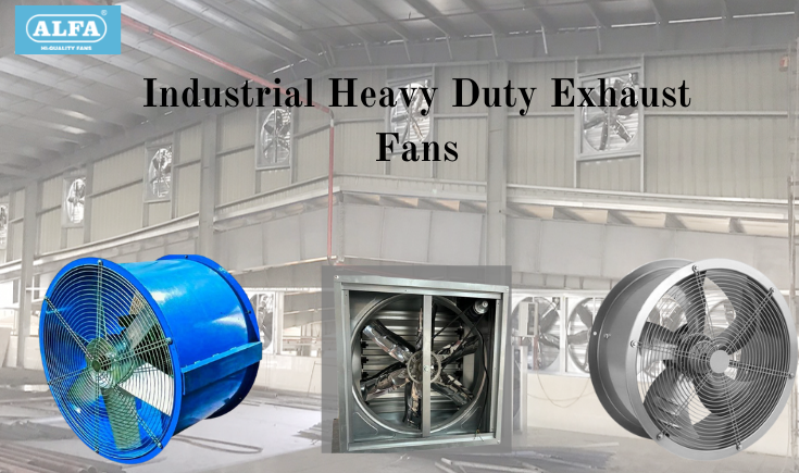 Heavy-Duty-Exhaust-Fan-Wholesaler