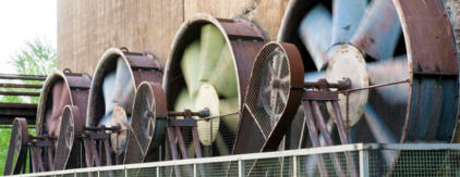 Pedestal fan by Alfa Fans